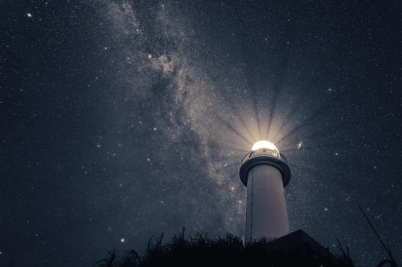 Jungle night sky